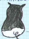 culbsi.JPG (8139 octets)